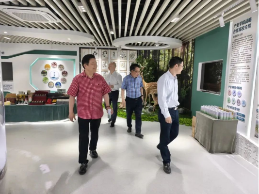 龙8头号玩家(国际)官方网站